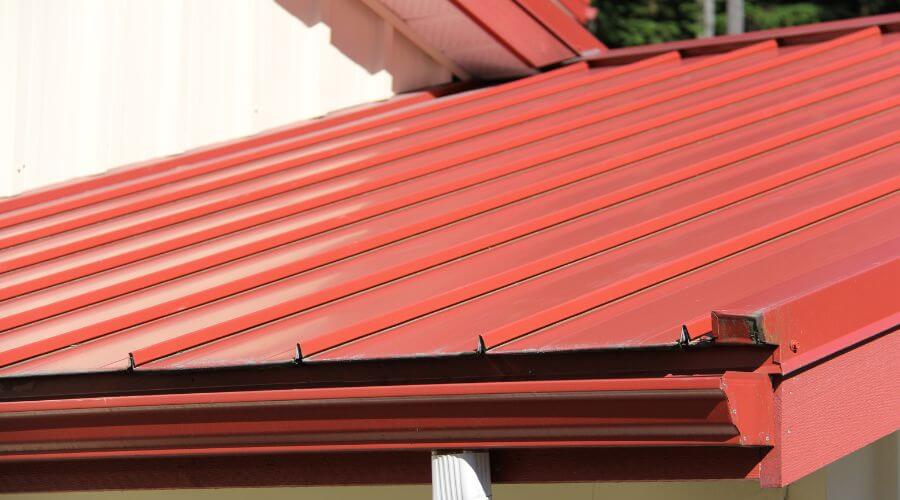 Professional gutter cleaning in New Port Richey, FL